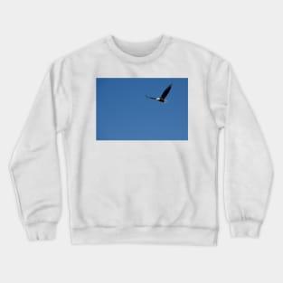 850_4981 Crewneck Sweatshirt